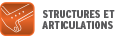 STRUCTURES ET ARTICULATIONS