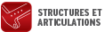 STRUCTURES ET ARTICULATIONS