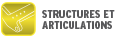 STRUCTURES ET ARTICULATIONS