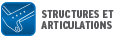 STRUCTURES ET ARTICULATIONS