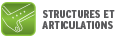 STRUCTURES ET ARTICULATIONS