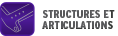 STRUCTURES ET ARTICULATIONS