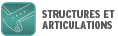 STRUCTURES ET ARTICULATIONS